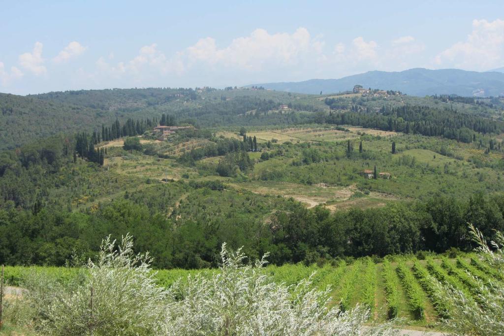 Winery Houses In Chianti Mercatale Val Di Pesa Pokój zdjęcie