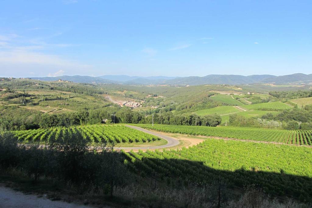 Winery Houses In Chianti Mercatale Val Di Pesa Zewnętrze zdjęcie